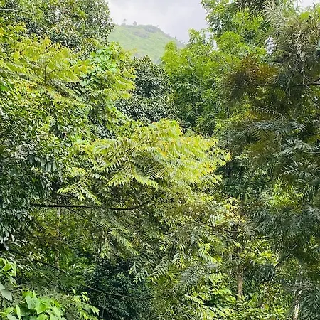 Kurinjiyil Farm Stay Munnar Exterior photo