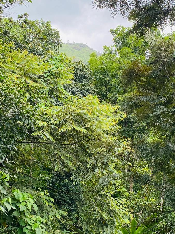 Kurinjiyil Farm Munnar