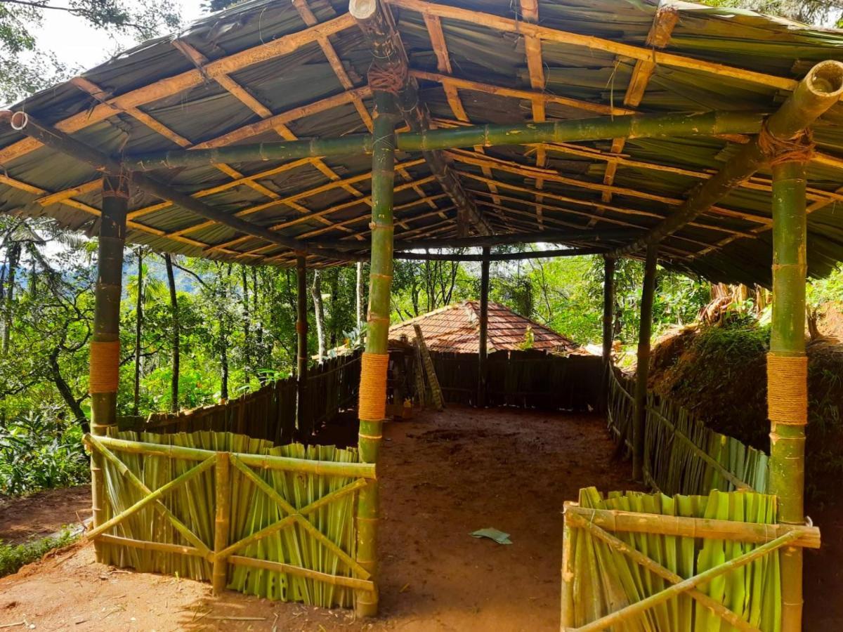 Kurinjiyil Farm * Munnar
