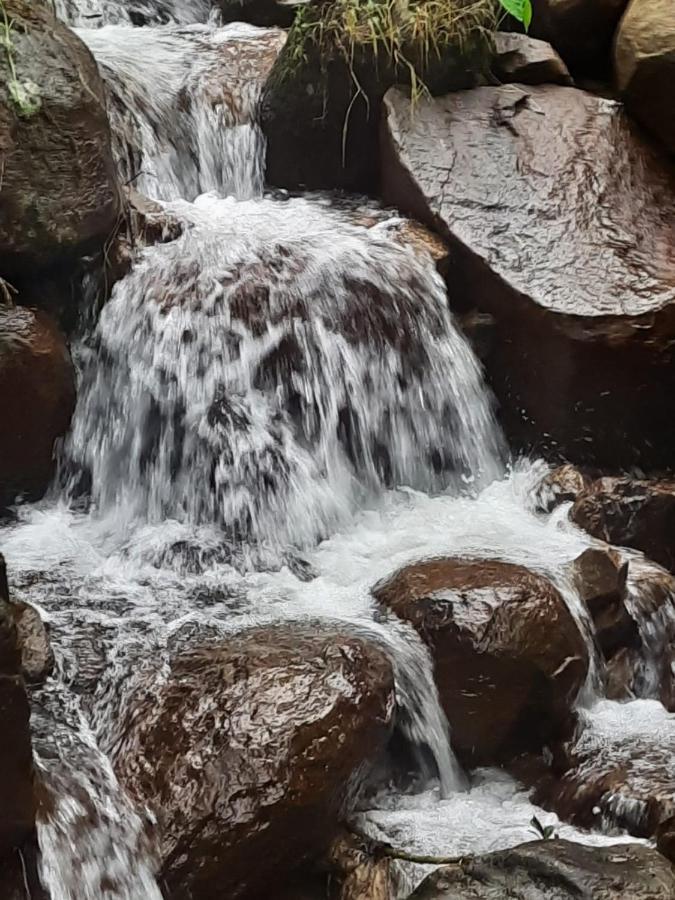 Kurinjiyil Farm Munnar
