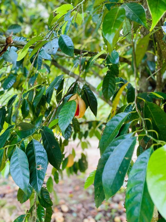 Kurinjiyil Farm छुट्टी का घर